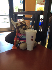 A stuffed lion with a large drink
