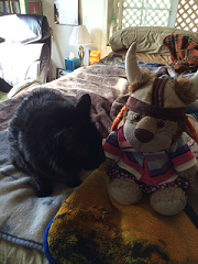 A stuffed lion with a cat