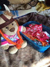 A stuffed lion with a plastic box of clothes