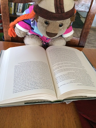 A stuffed lion with an open book