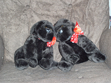 A pair of stuffed gorillas