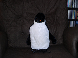 A stuffed penguin