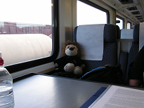 A stuffed lion on the train