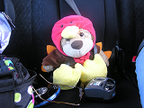 Road Trip! A stuffed lion wearing a turkey costume in a car