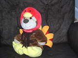A stuffed lion wearing a turkey costume
